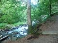 Araing_2009 025